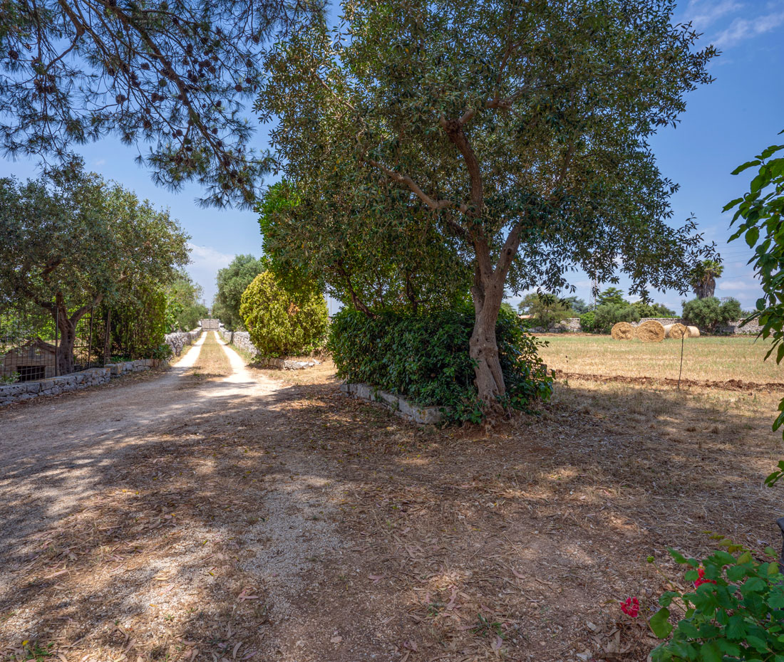 il viale d'ingresso del b&b villa morea a putignano